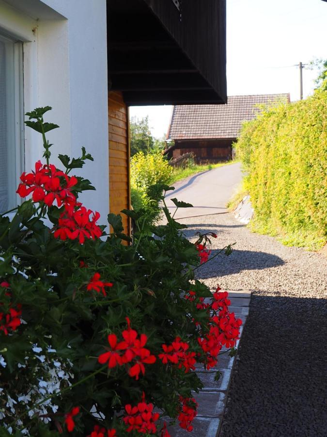 Chata Eliska Příkrý Exterior foto
